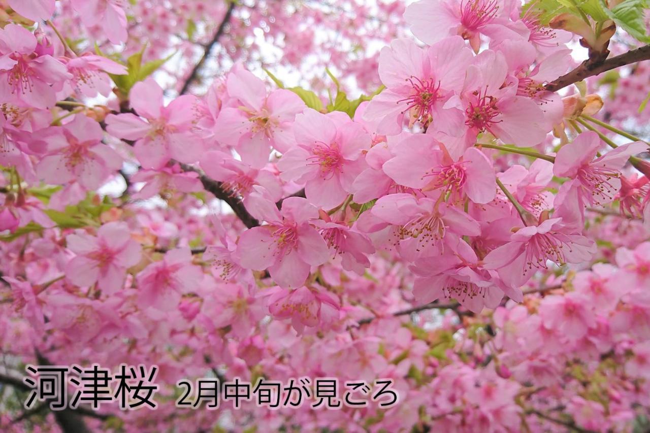 伊豆稲取テラス-寛道- Villa Shimoda  Exteriör bild